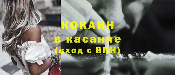 индика Балахна