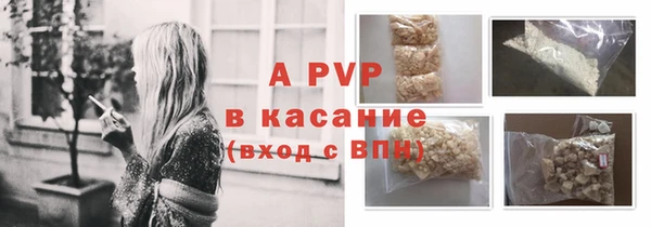 индика Балахна