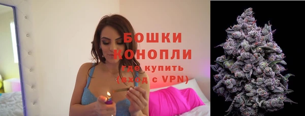 прущий лед Белокуриха