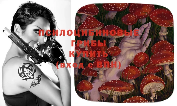 прущий лед Белокуриха