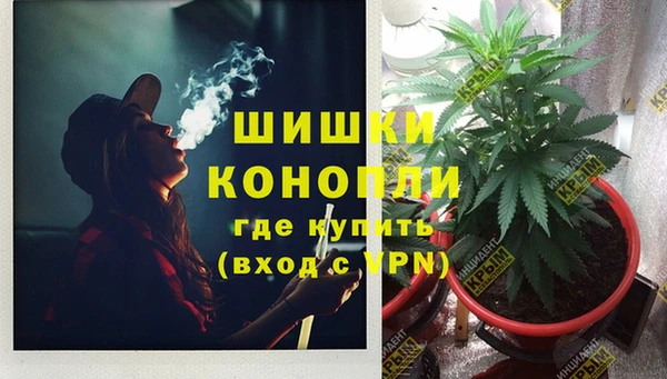 индика Балахна