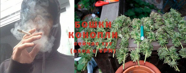 прущий лед Белокуриха