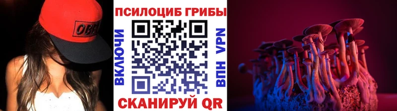Псилоцибиновые грибы GOLDEN TEACHER Ленск